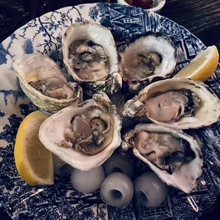 Oysters