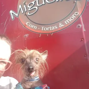 Our hairless dog, Cholo, enjoying the trip.