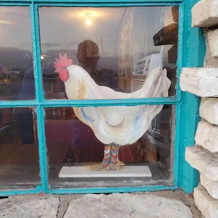 a chicken in a window