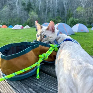 Miguel's Campgrounds