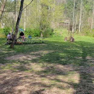 a man and his dog in a park