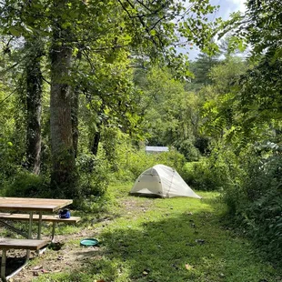 a tent and picnic table in the woods
