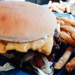 Cheeseburger and Fries