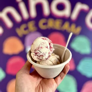 Double Scoop: Lychee w/ Raspberry Rose Swirl, Banana w/ Dulce de Leche