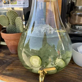 Cucumber water station!