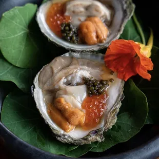 belon oyster with caviar