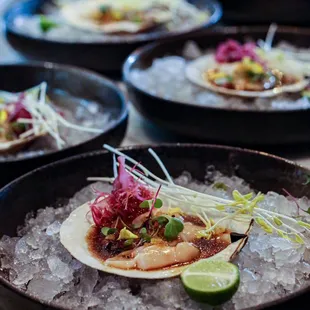 Live scallops tasting