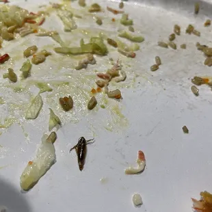 Sushi roll with a bug Under it.  Cockroach or some kind of water bug.  Either way I&apos;m not hungry anymore.