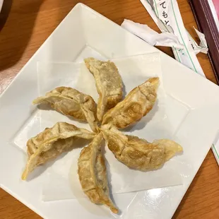 Pork gyoza