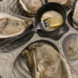 Raw oysters