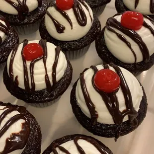 Forrest Gump Cupcakes
