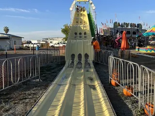 Crazy Ravens Pumpkin Patch