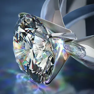 Mike Seltzer Jewelers Comotara Center