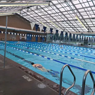 Lap pool has 8 lanes. You can reserve a lane.