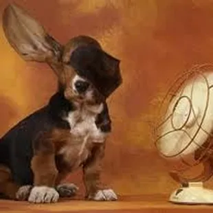 Keeping It Cool