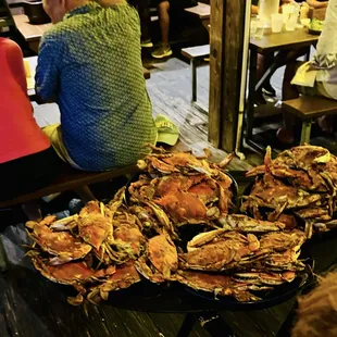 Maryland Blue Crab