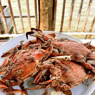 Large crabs. Meaty and sweet.