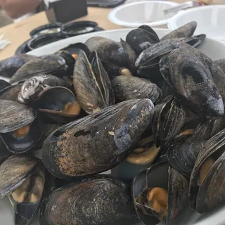 Bucket Of Mussels