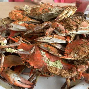 Large Crabs