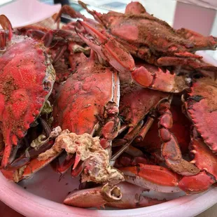 Dozen Medium Crabs
