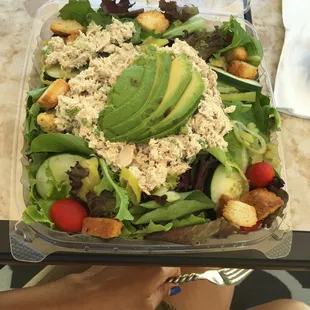 Tuna salad with everything!