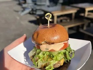 Electric Slider Company