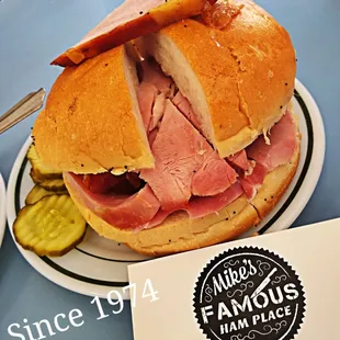 a half eaten sandwich