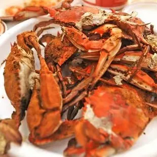 food, oysters and mussels