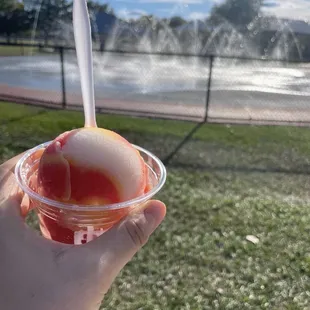 Mike's Italian Ice
