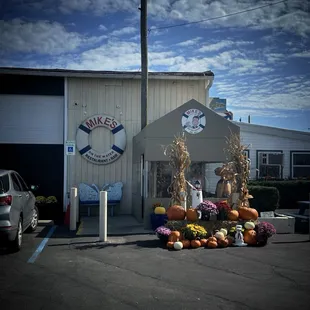 a display of pumpkins