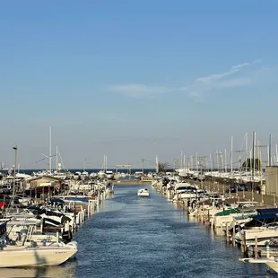 View from the rooftop bar