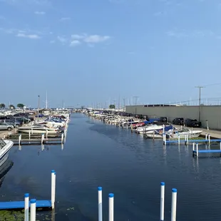 View from the rooftop deck!