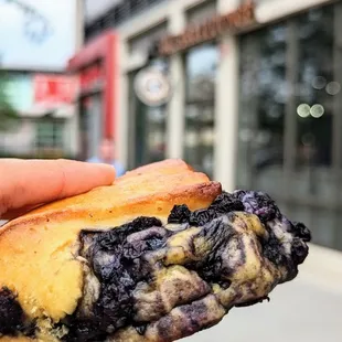 a hand holding a blueberry donut
