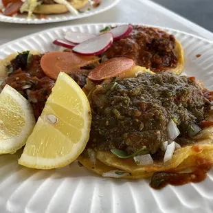 ElPastor &amp; Carnitas Tacos