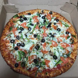 Veggie pizza was DELICIOUS!!