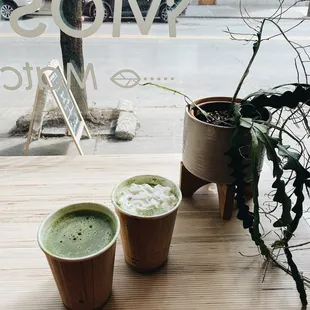 CocoaMint Matcha and Mint Maté Latte