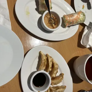 Appetizers spring rolls and dumplings