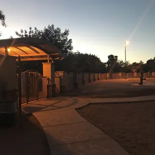 Good morning from the dog park