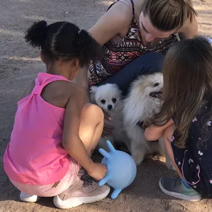 My dogs are getting all the ladies