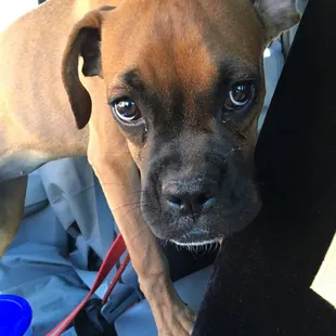 She was a happy camper wore herself out and had to rest