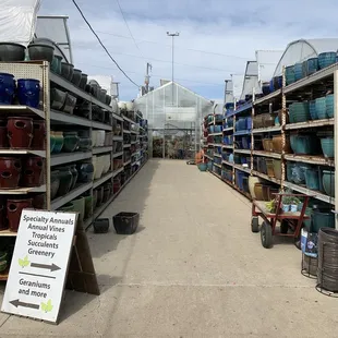 Pots pots pots $$$$$