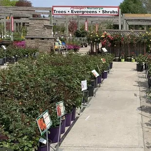 Easy to get around, lots of signage and placards above every plant.  Very clear, easy to read.