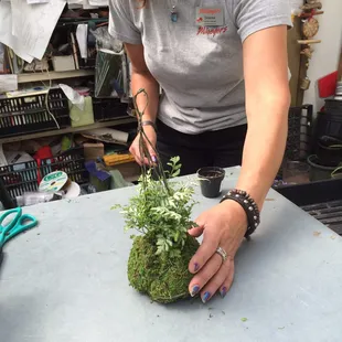 Mileager's staff can do ANYTHING!  Deanna took time on a Saturday morn to make a fern sphere for my plant pole!  Thank u!
