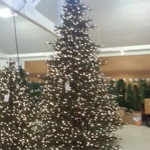 Exclusively designed trees and lights from Milaegers.