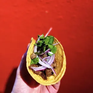 Traditional Carne Asada taco