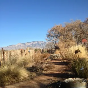 a wine barrel in the foreground