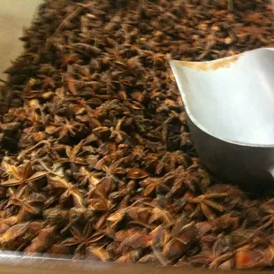 Star Anis seed