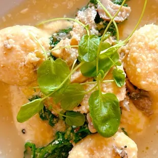 Gnudi E Fungi