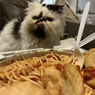 The Spaghetti with Meatball