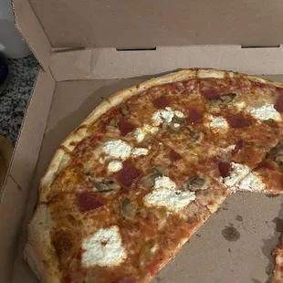 Cheese pizza with salami, ricotta, mushroom.